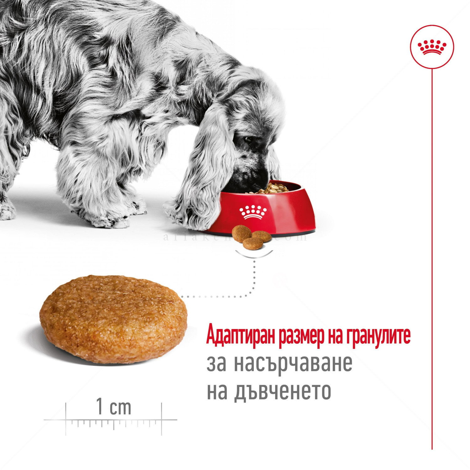 ROYAL CANIN Medium Adult - 15 кг