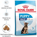 ROYAL CANIN Maxi Puppy - 3 кг