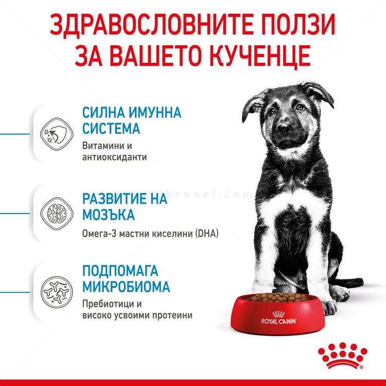 ROYAL CANIN Maxi Puppy - 15 кг