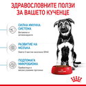 ROYAL CANIN Maxi Puppy - 15 кг