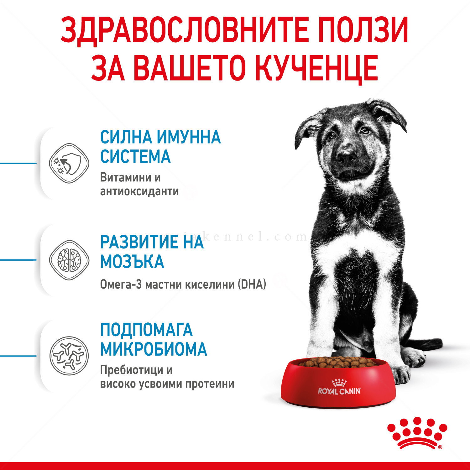 ROYAL CANIN Maxi Puppy - 15 кг