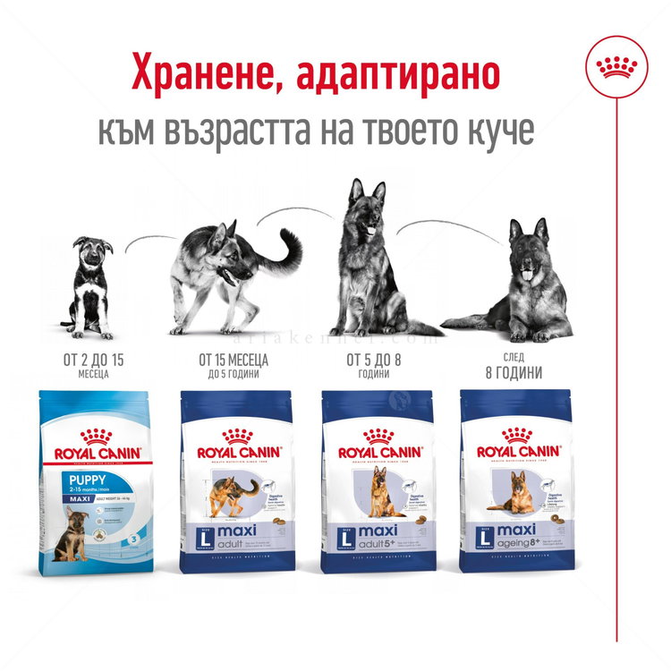 ROYAL CANIN Maxi Adult - 3 кг
