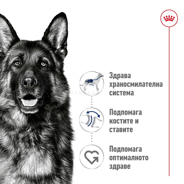 ROYAL CANIN Maxi Adult - 15 кг