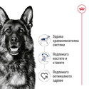 ROYAL CANIN Maxi Adult - 15 кг