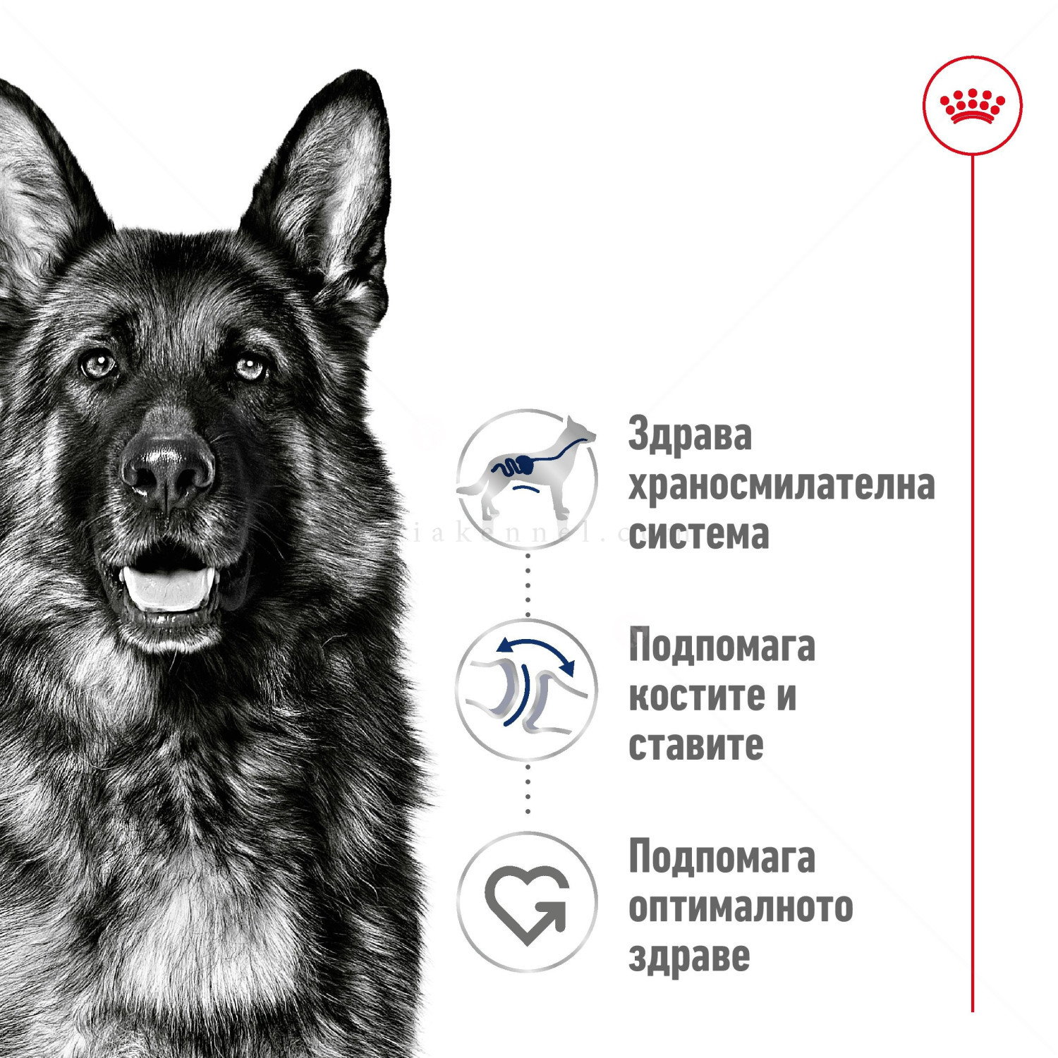 ROYAL CANIN Maxi Adult - 15 кг