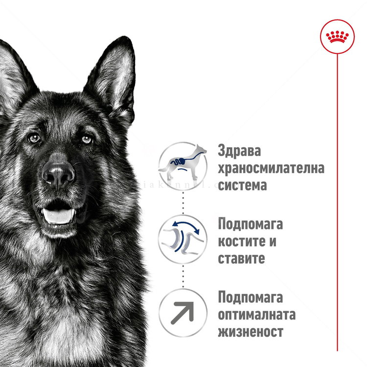 ROYAL CANIN Maxi Adult 5+ - 15 кг