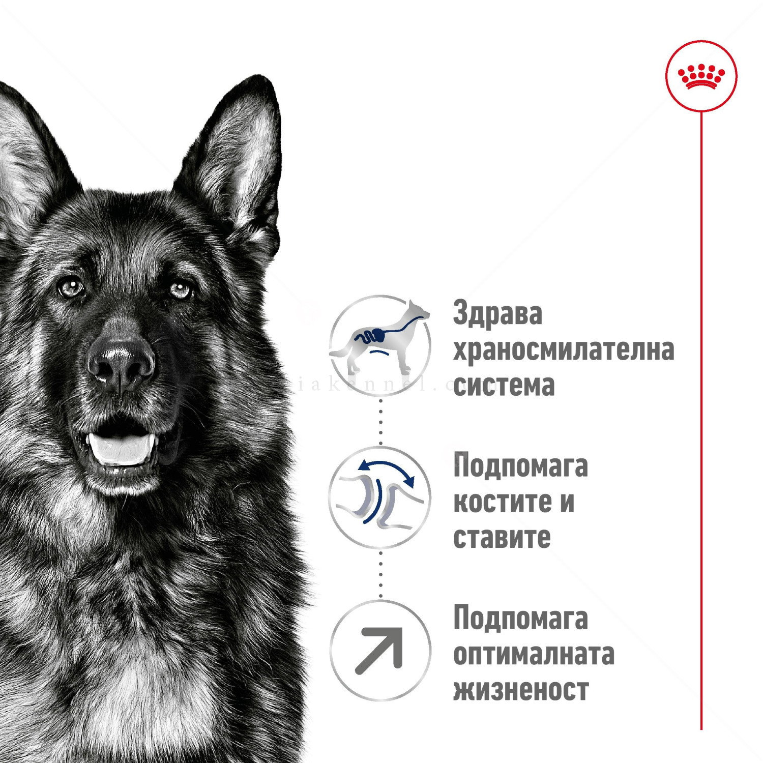 ROYAL CANIN Maxi Adult 5+ - 15 кг