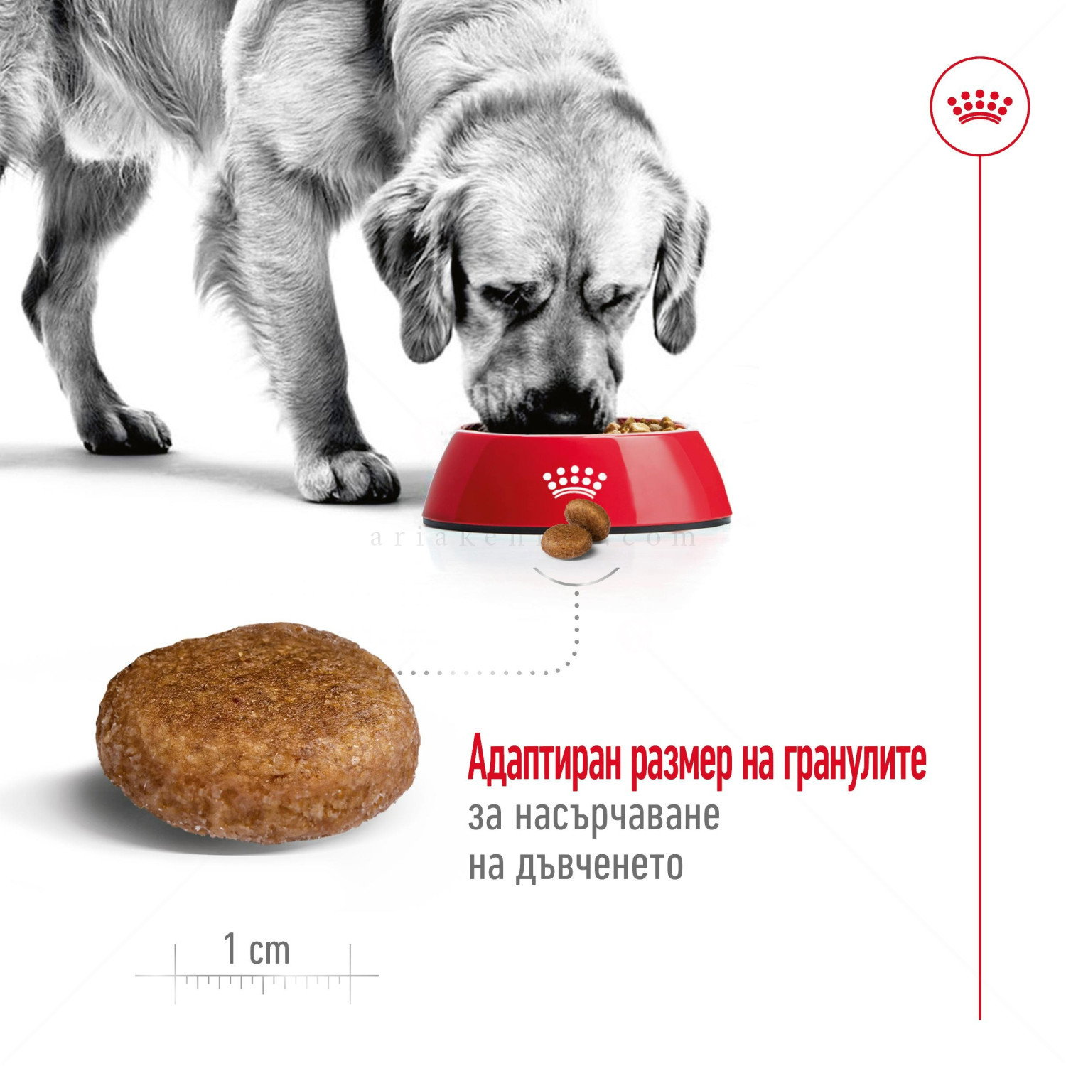 ROYAL CANIN Maxi Adult 5+ - 15 кг