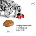 ROYAL CANIN Medium Adult 7+ - 4 кг