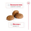 ROYAL CANIN Medium Adult 7+ - 10 кг