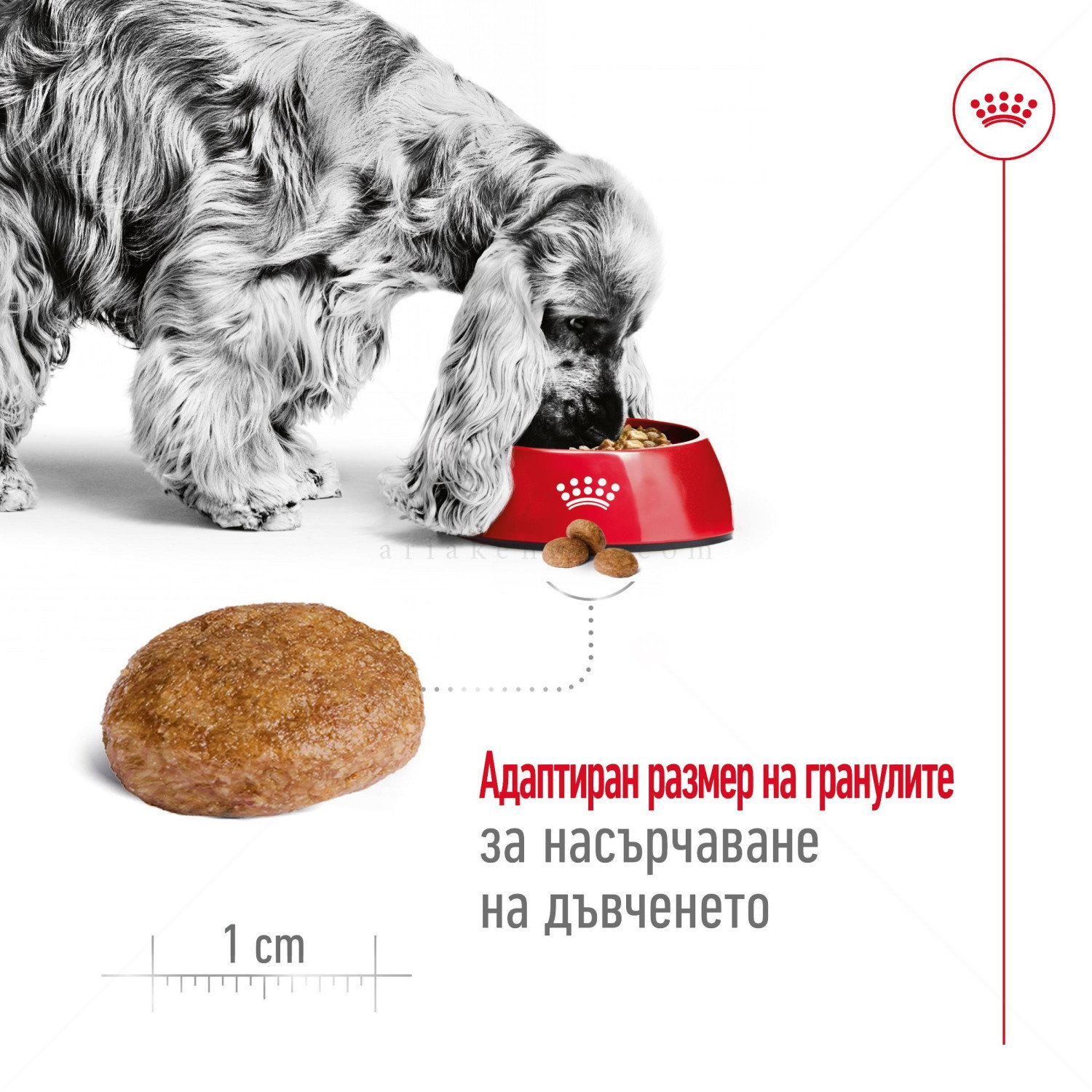 ROYAL CANIN Medium Adult 7+ - 15 кг