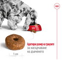 ROYAL CANIN Medium Ageing 10+ - 15 кг