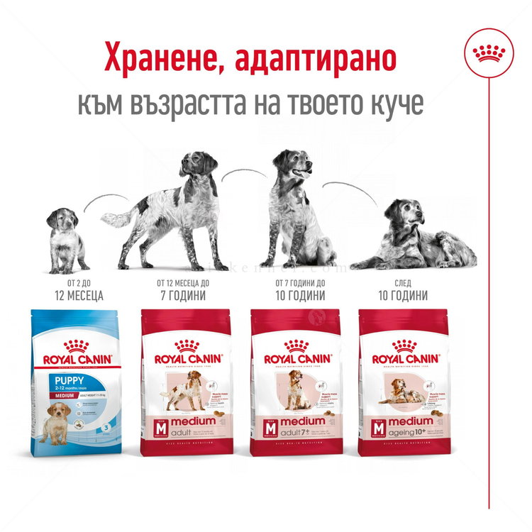 ROYAL CANIN Medium Ageing 10+ - 15 кг