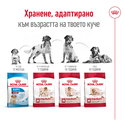 ROYAL CANIN Medium Ageing 10+ - 15 кг