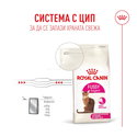 ROYAL CANIN 4 кг Fussy Exigent