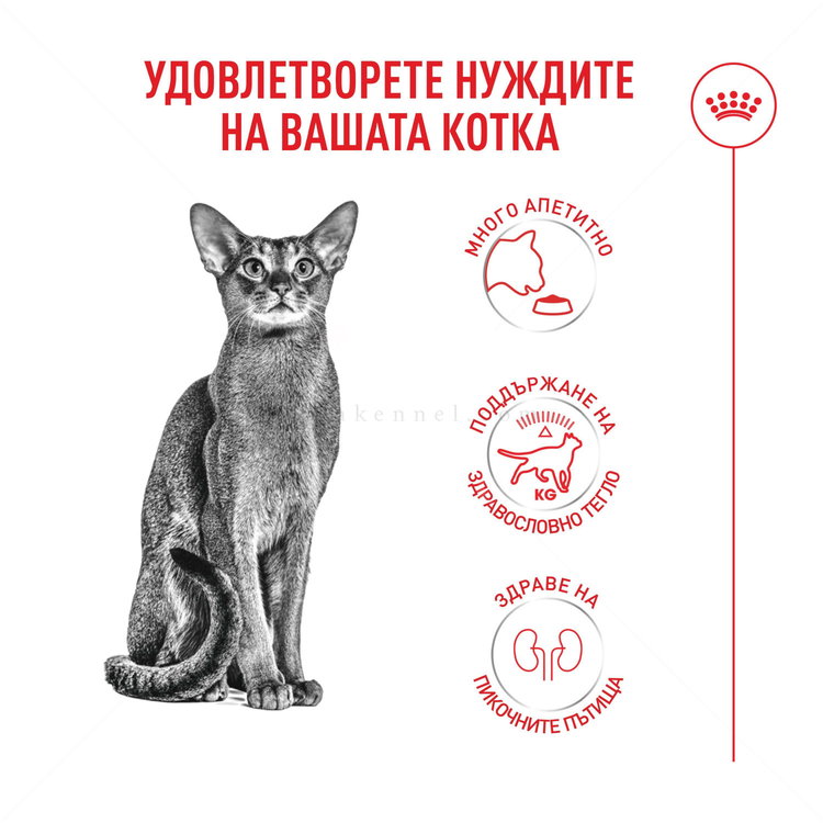 ROYAL CANIN 10 кг Fussy Exigent