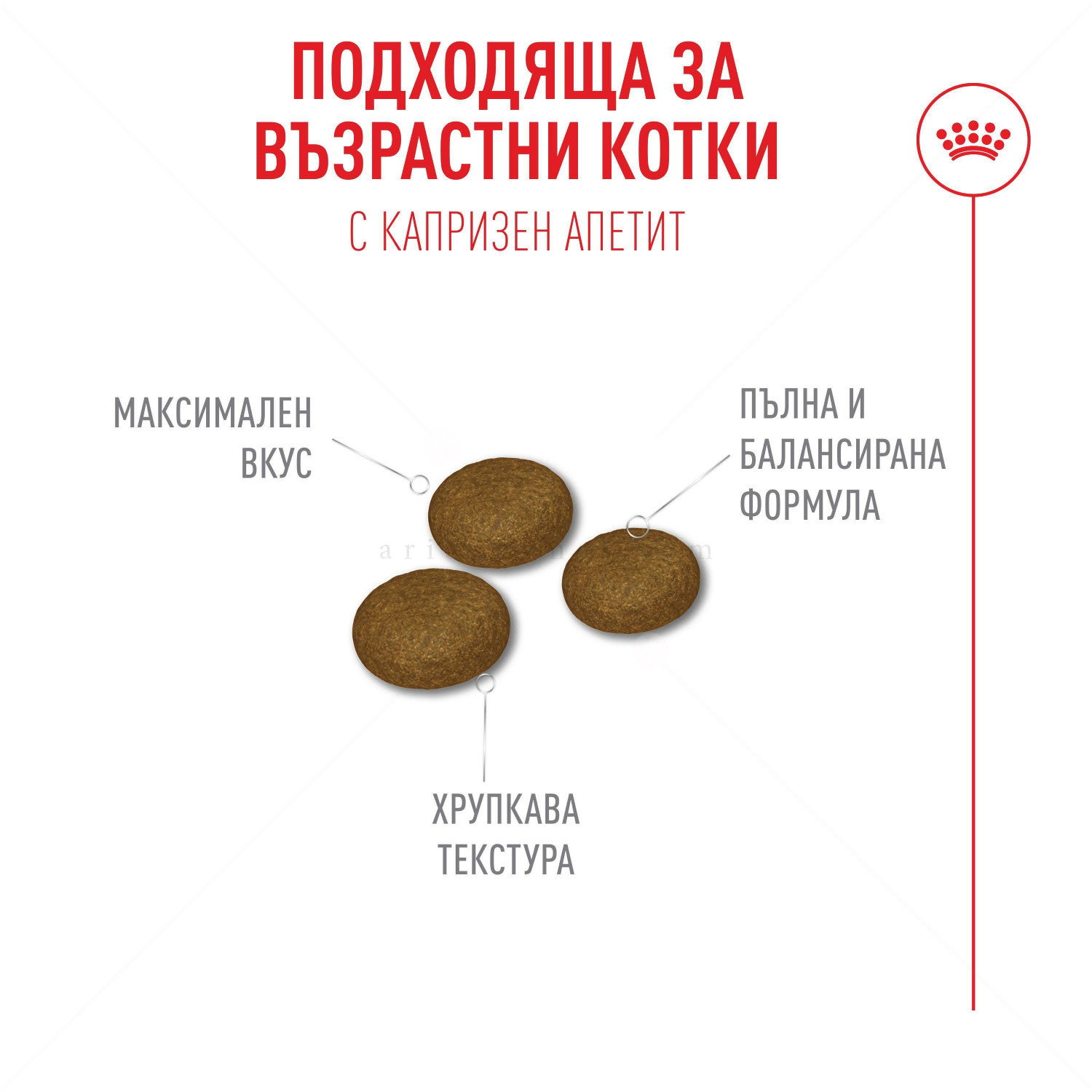 ROYAL CANIN 10 кг Fussy Exigent