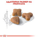 ROYAL CANIN 4 кг. Sensible