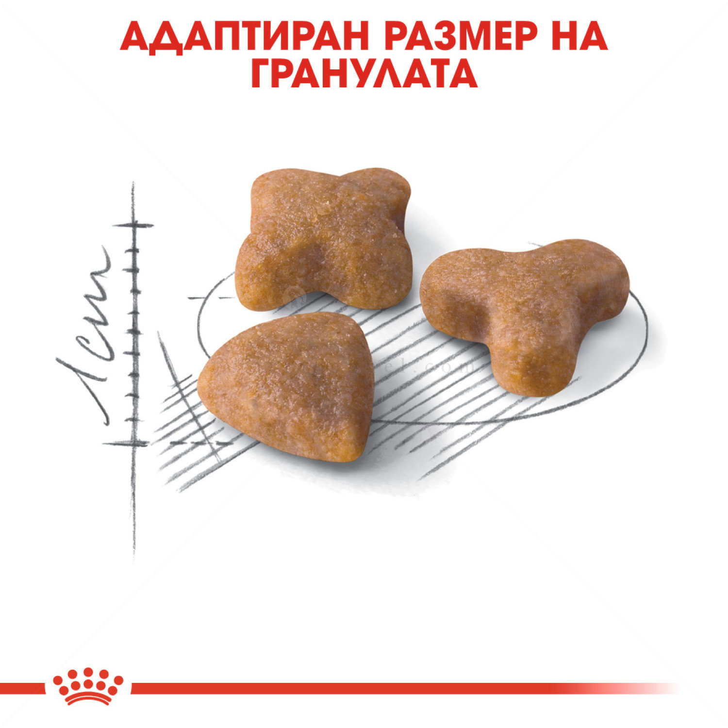 ROYAL CANIN 4 кг. Sensible