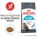 ROYAL CANIN 4 кг. Urinary Care