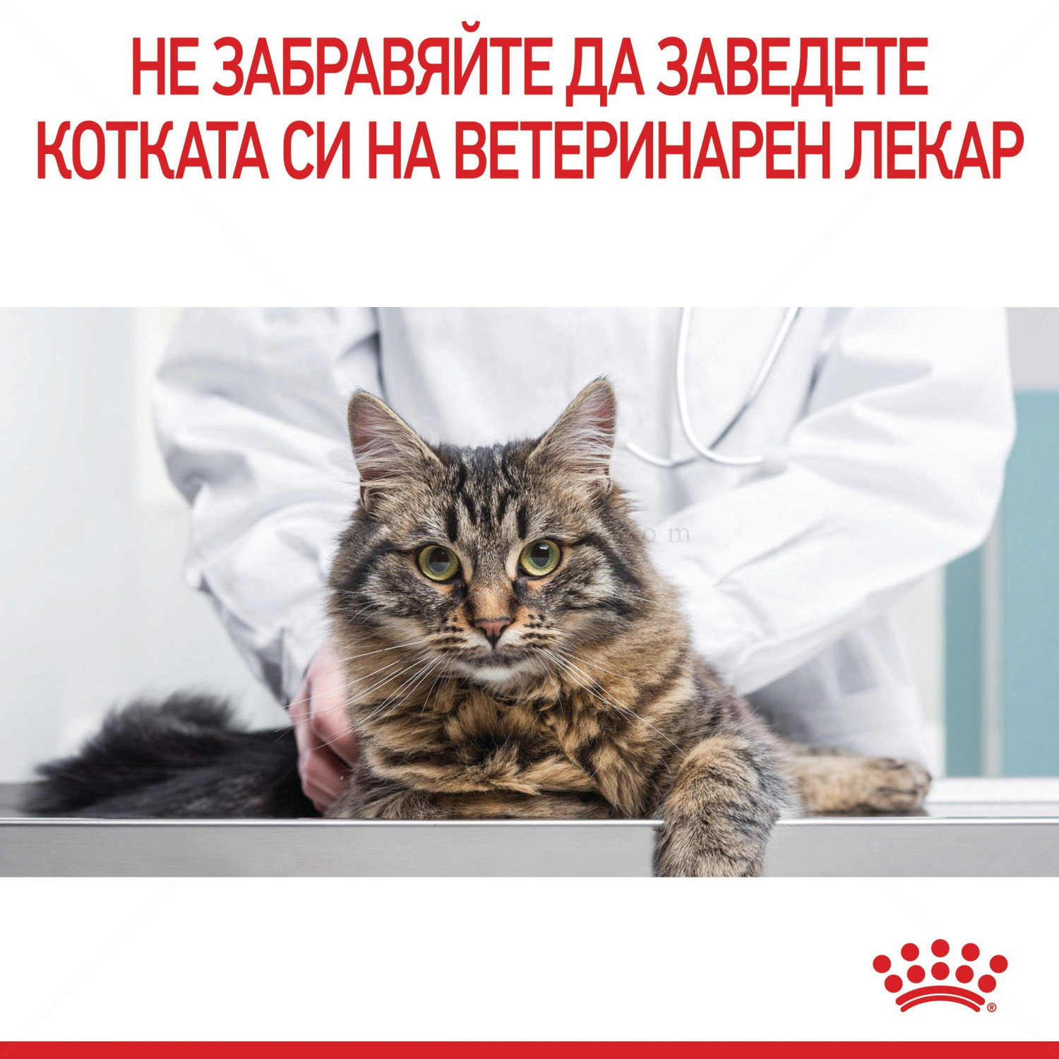 ROYAL CANIN 4 кг. Urinary Care