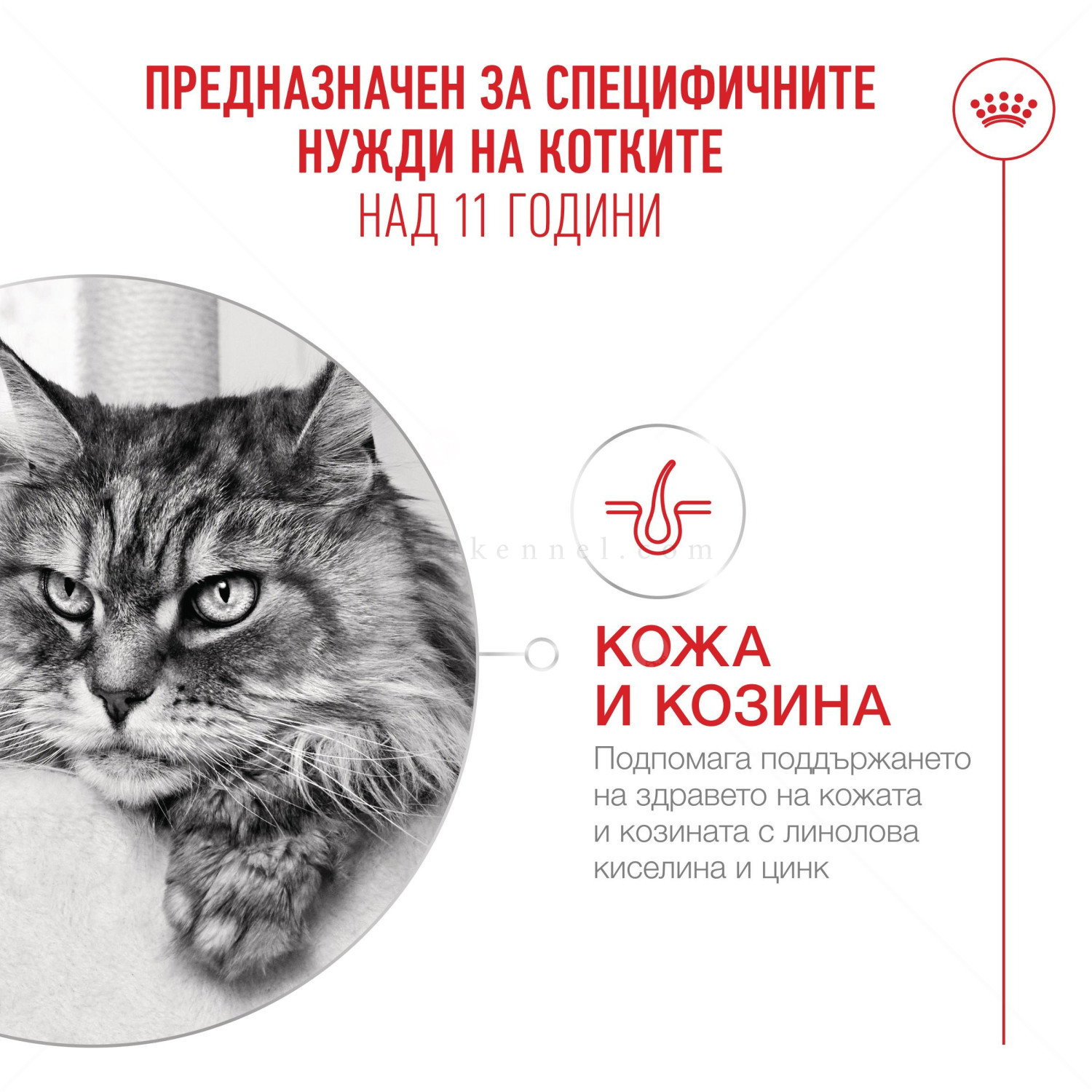 ROYAL CANIN 2 кг Ageing 11+
