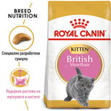 ROYAL CANIN 2 кг. British Shorthair Kitten