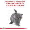 ROYAL CANIN 2 кг. British Shorthair Kitten