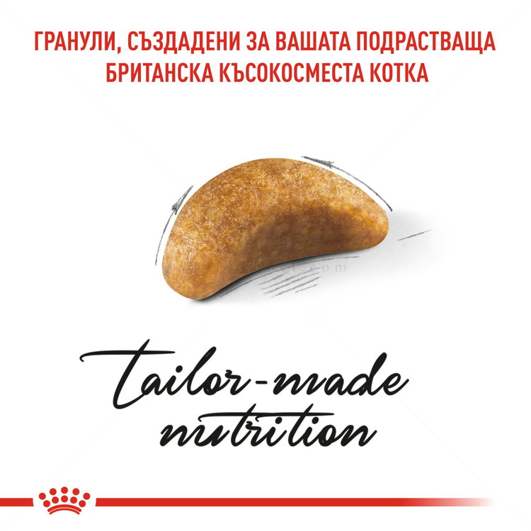 ROYAL CANIN 2 кг. British Shorthair Kitten