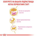 ROYAL CANIN 10 кг. Kitten British Shorthair