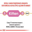 ROYAL CANIN 0.400 кг. Persian Kitten