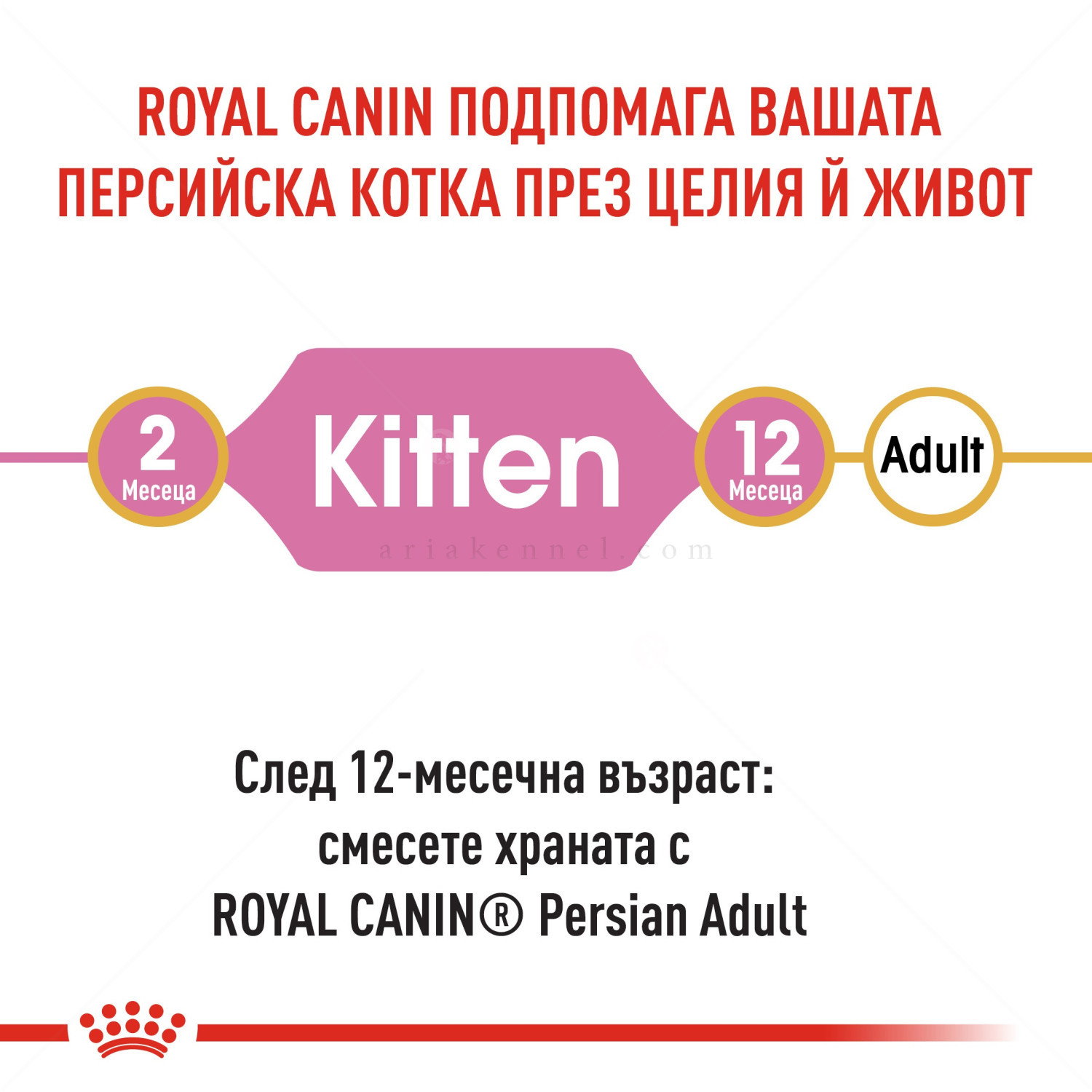 ROYAL CANIN 0.400 кг. Persian Kitten