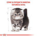 ROYAL CANIN 10 кг. Persian Kitten