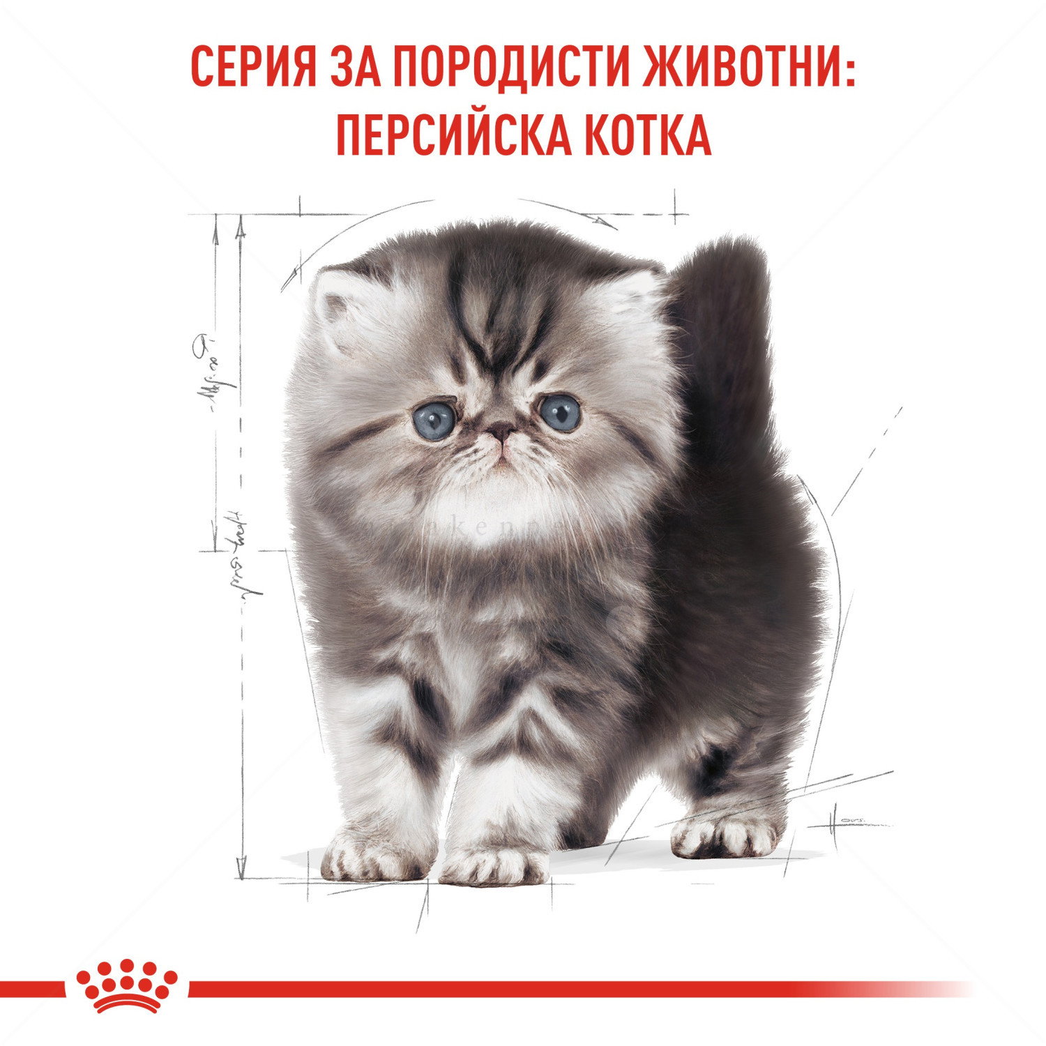 ROYAL CANIN 10 кг. Persian Kitten