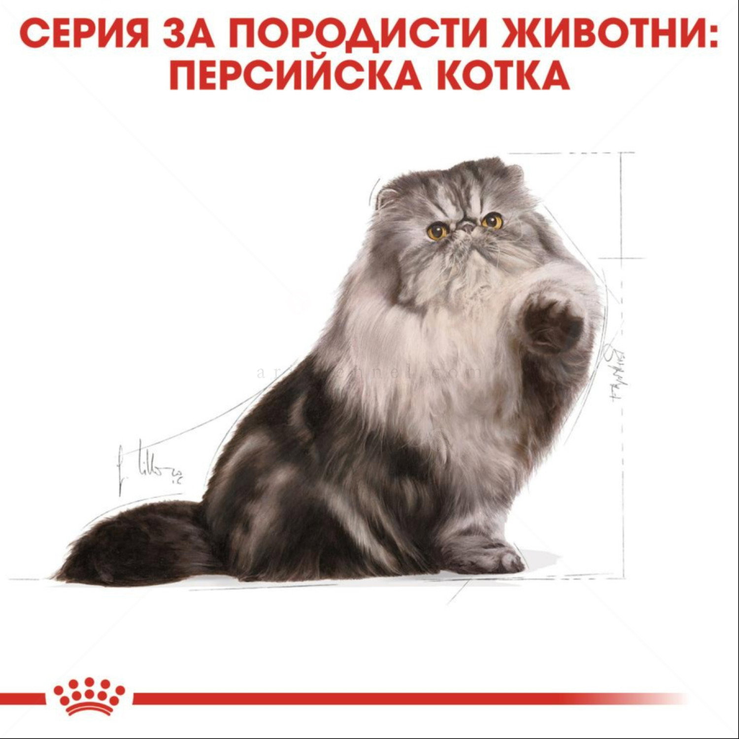 ROYAL CANIN 0.400 кг. Persian
