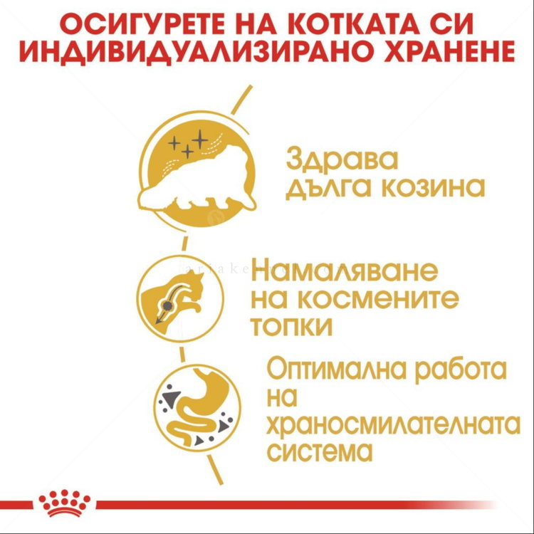 ROYAL CANIN 10 кг. Persian