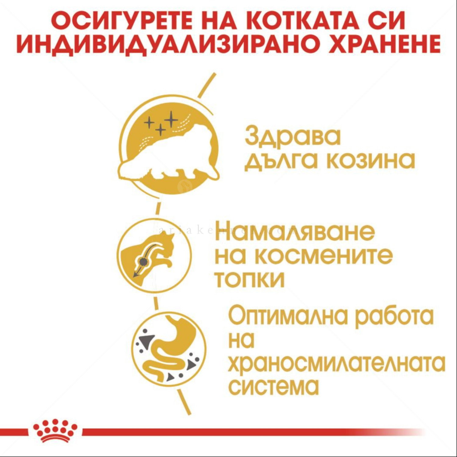 ROYAL CANIN 10 кг. Persian