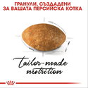 ROYAL CANIN 10 кг. Persian