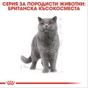 ROYAL CANIN 0.400 кг. British Shorthair