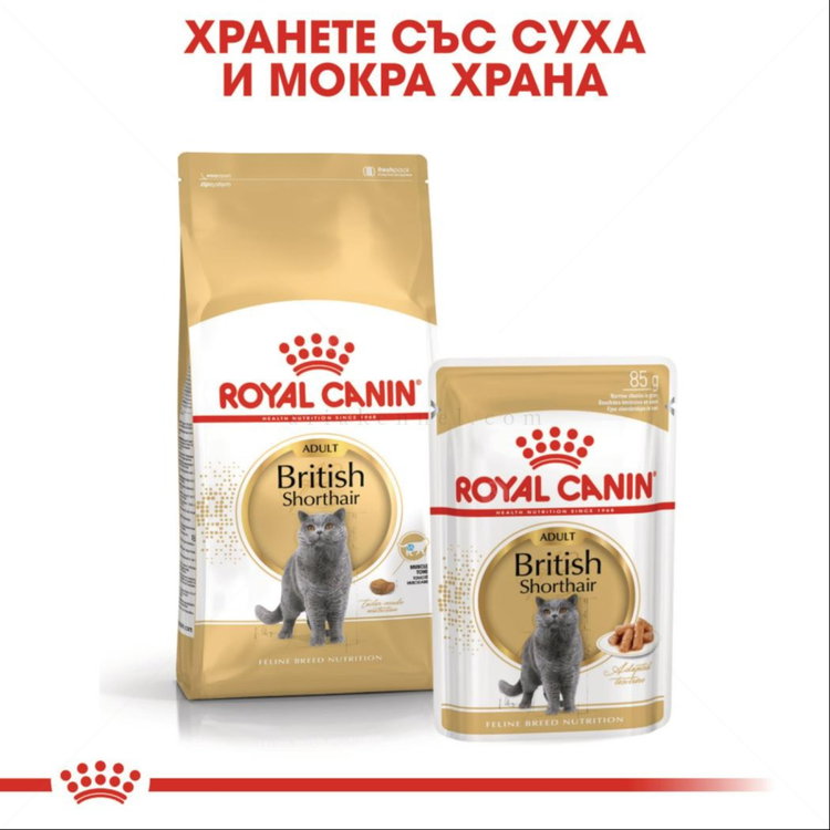 ROYAL CANIN 0.400 кг. British Shorthair