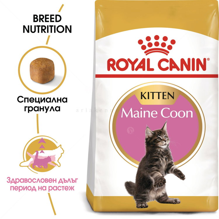 ROYAL CANIN 2 кг Maine Coon Kitten
