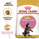 ROYAL CANIN 2 кг Maine Coon Kitten