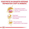 ROYAL CANIN 2 кг Maine Coon Kitten
