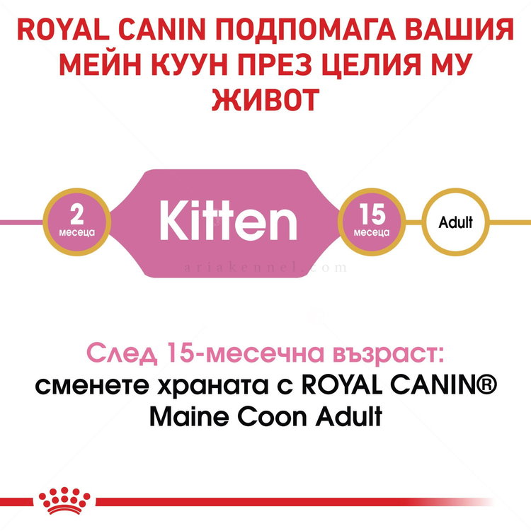 ROYAL CANIN 2 кг Maine Coon Kitten