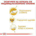 ROYAL CANIN 4 кг.  Maine Coon