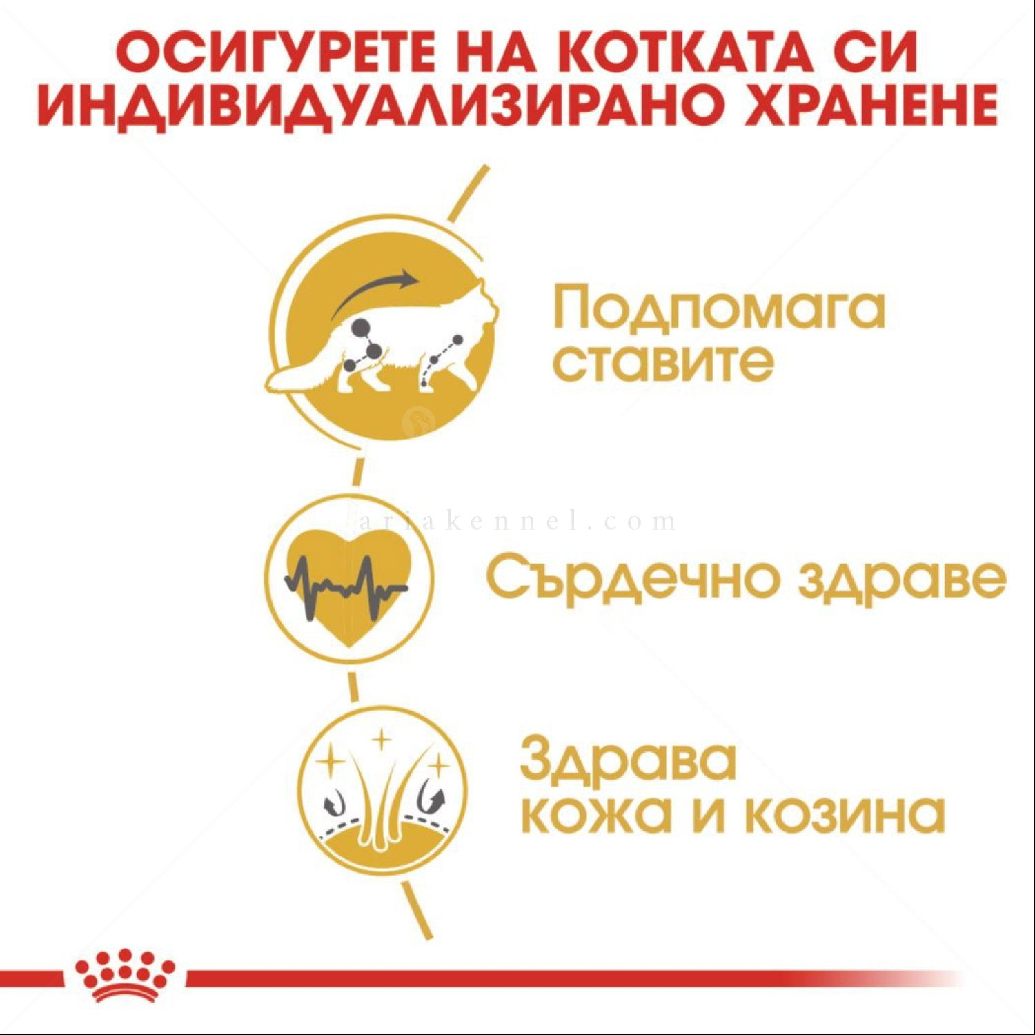 ROYAL CANIN 4 кг.  Maine Coon