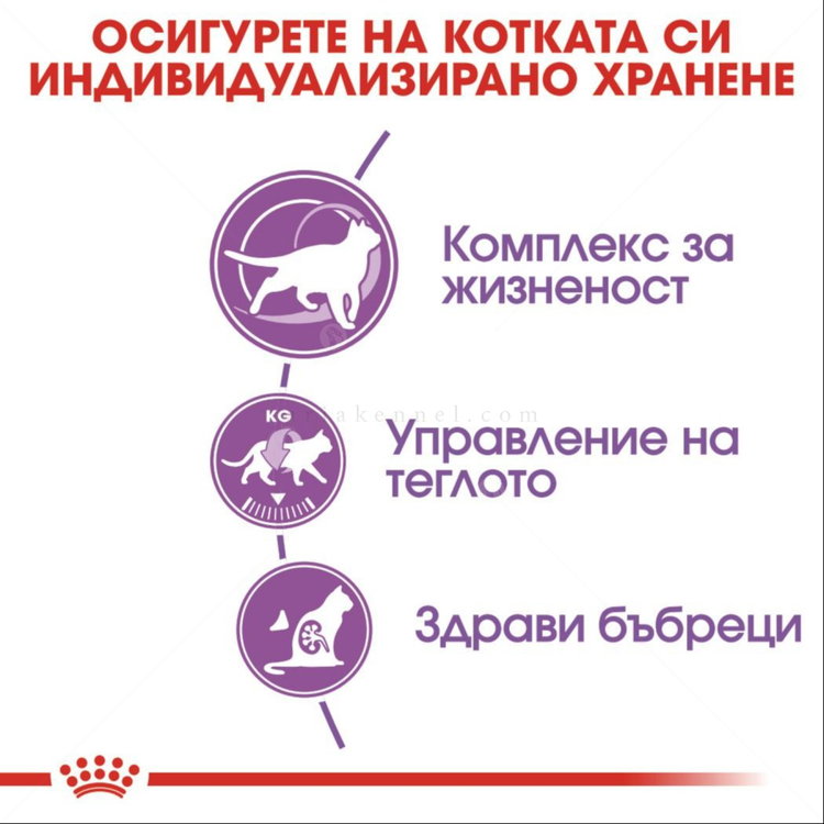 ROYAL CANIN 3.500 кг Sterilised 7+