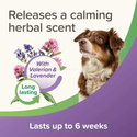 Успокояващ нашийник на билкова основа 65 см BEAPHAR StressLess Herbal Calming Collar