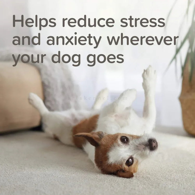 Успокояващ нашийник на билкова основа 65 см BEAPHAR StressLess Herbal Calming Collar