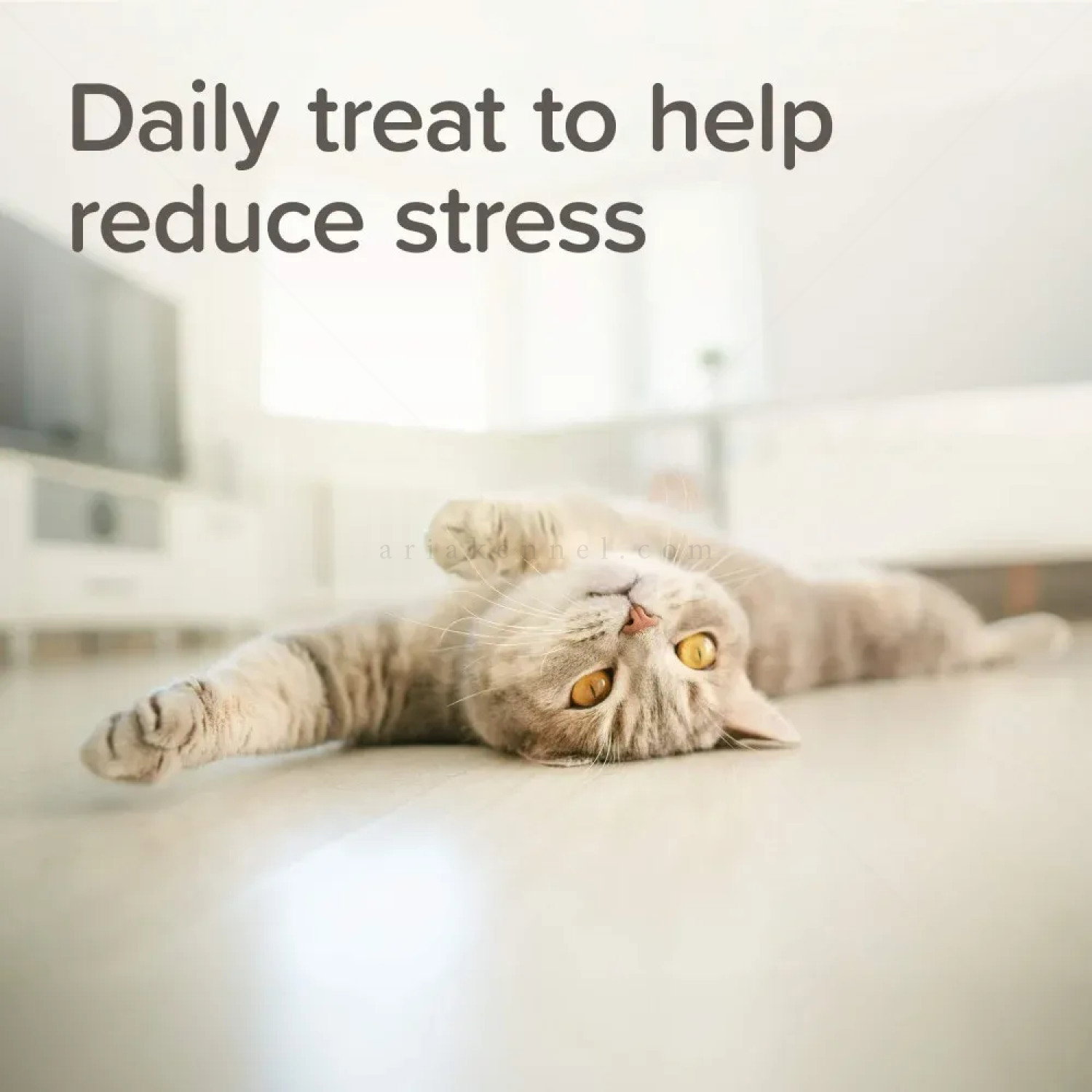 Успокояващи хапки за котки с вкус на пилешко месо BEAPHAR StressLess Herbal Calming Treats